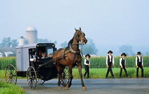 Amish