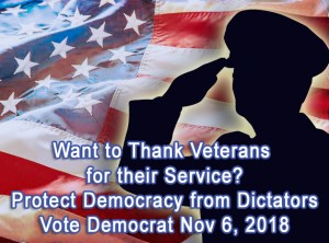 ProtectDemocracyNov6